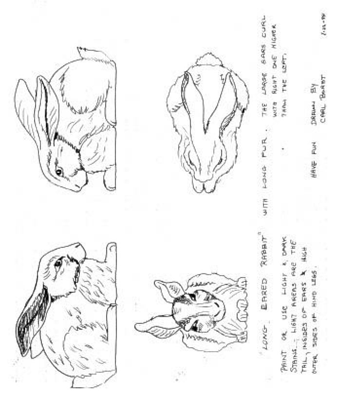 Carls Rabbit Pattern